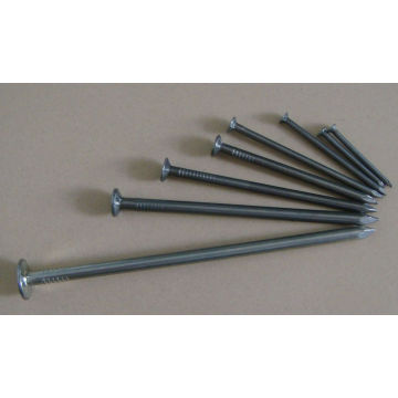 Common Wire Nail